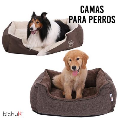 Soltero ventilación Raza humana Las mejores camas para perros | Bichuki